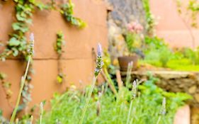 Casa Lavanda Hotel Boutique